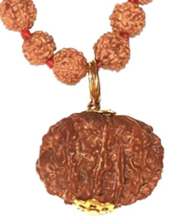 8 Faced Original Nepali Abhimantrit Rudraksha