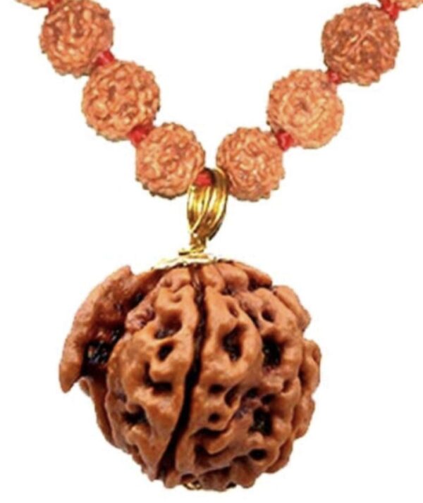 Ganesha Faced Original Nepali Abhimantrit Rudraksha