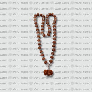 14 Faced Gauri Shankar Nepali Rudraksha in 10 Faced Rudraksha Silver Mala – Original & Abhimantrit